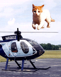 catcopter.gif