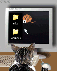 computercat.gif